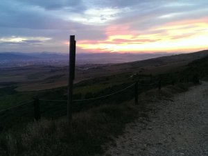 Cizur