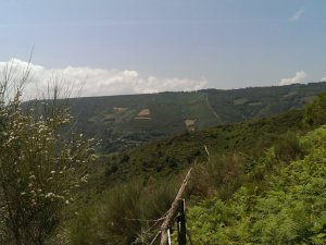 Vega de Valcarce