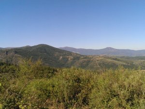 Molinaseca