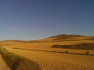 Hornillos del Camino