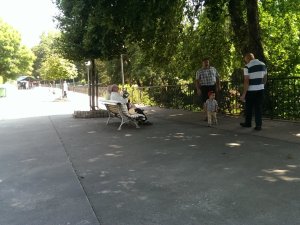 Sarria