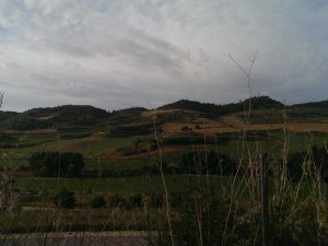 Obanos