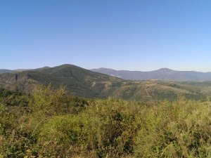 Molinaseca