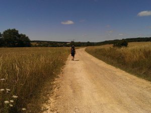 Barrios de Colina