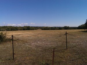 Atapuerca