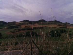 Tiebas-Muruarte de Reta