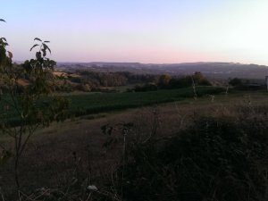 Paradela