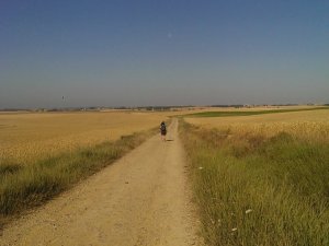 Boadilla del Camino
