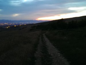 Cizur