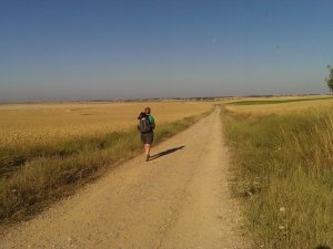 Boadilla del Camino