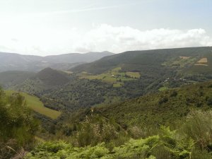 Vega de Valcarce