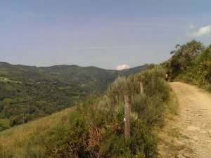 Vega de Valcarce