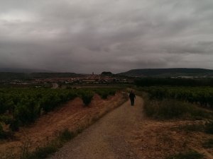 Navarrete