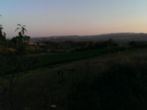 Paradela
