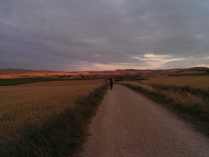 Los Arcos