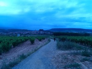Navarrete