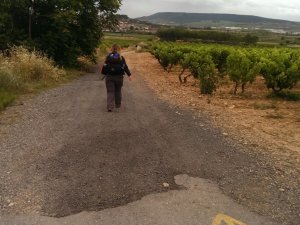 Navarrete