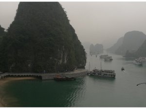 20190314 074649