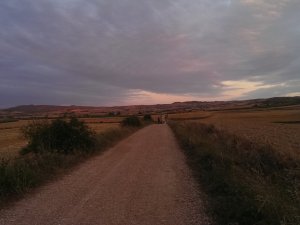 Los Arcos