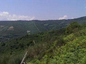 Vega de Valcarce