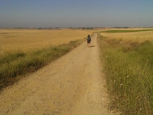 Boadilla del Camino