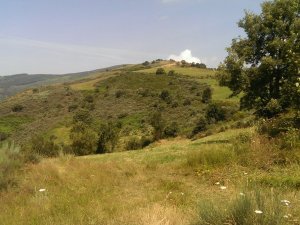 Vega de Valcarce