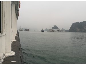 20190313 143112
