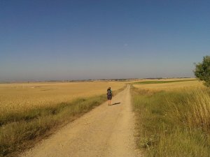 Boadilla del Camino