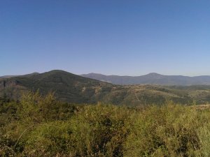 Molinaseca