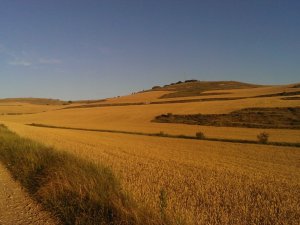 Hornillos del Camino