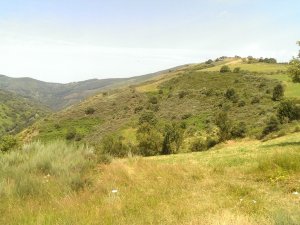 Vega de Valcarce