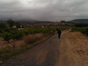 Navarrete