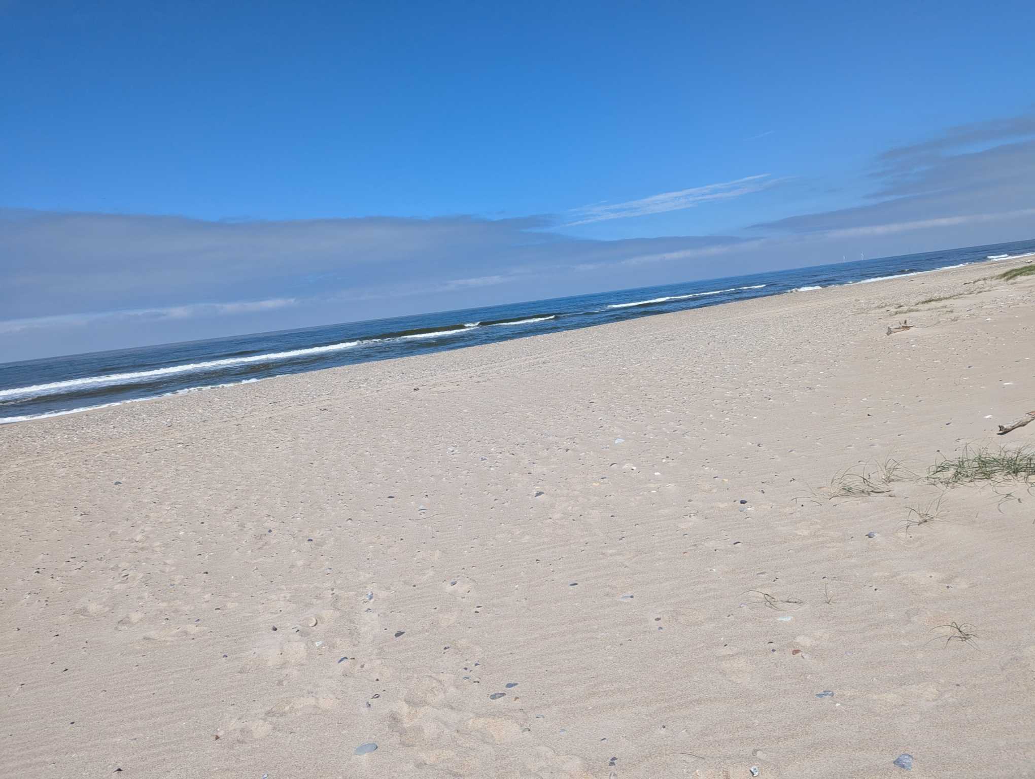 ResizedImage_2024-06-21_20-06-08_1 ResizedImage_2024-06-21_20-06-08_1