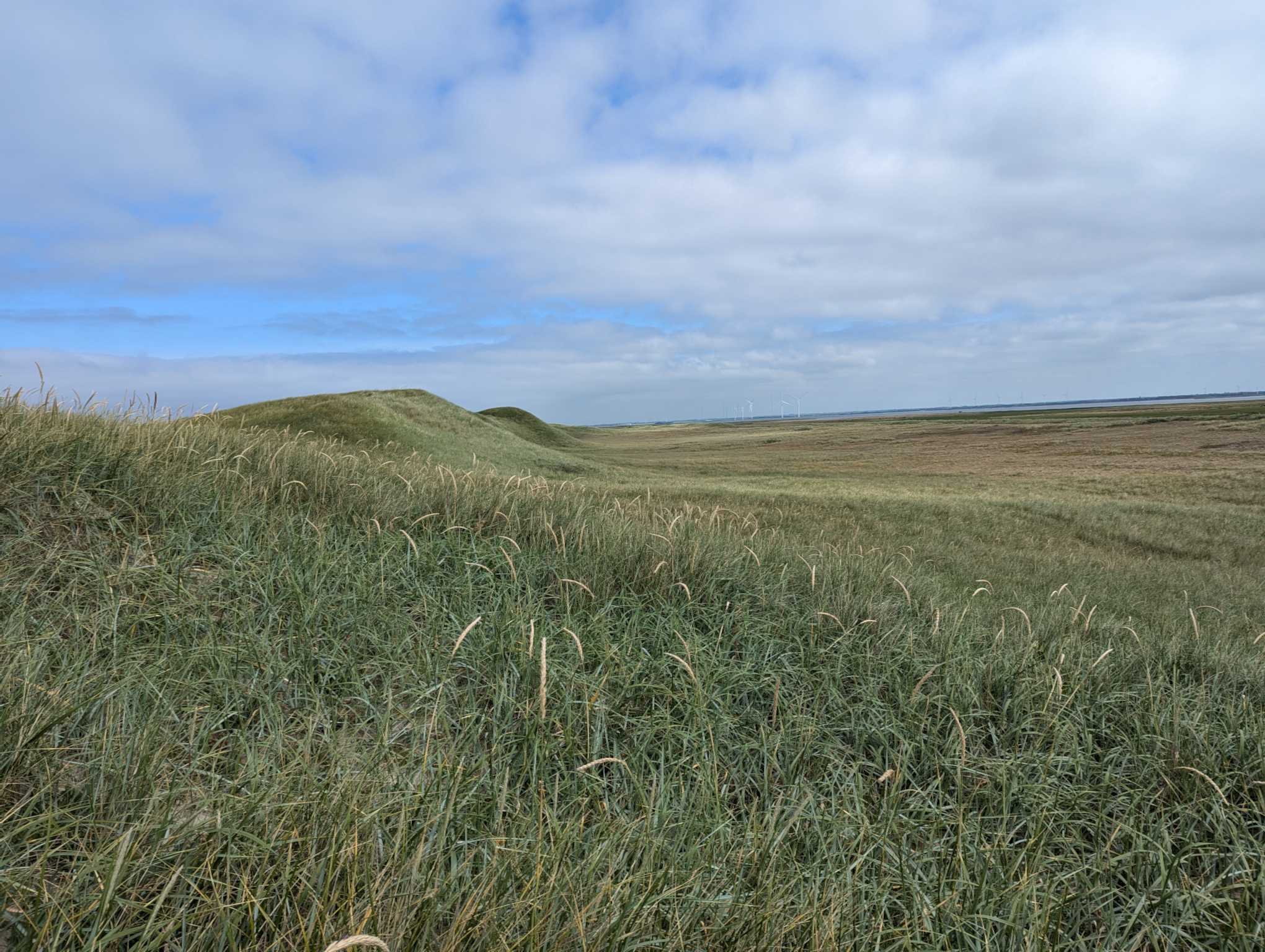 ResizedImage_2024-06-21_20-06-13_7 ResizedImage_2024-06-21_20-06-13_7