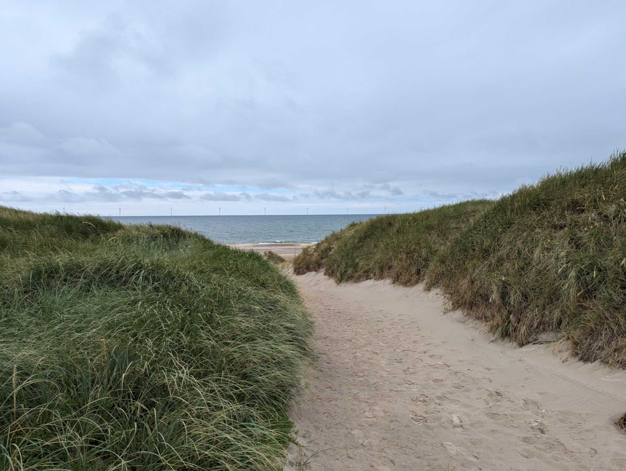 ResizedImage_2024-06-22_19-30-56_6 ResizedImage_2024-06-22_19-30-56_6