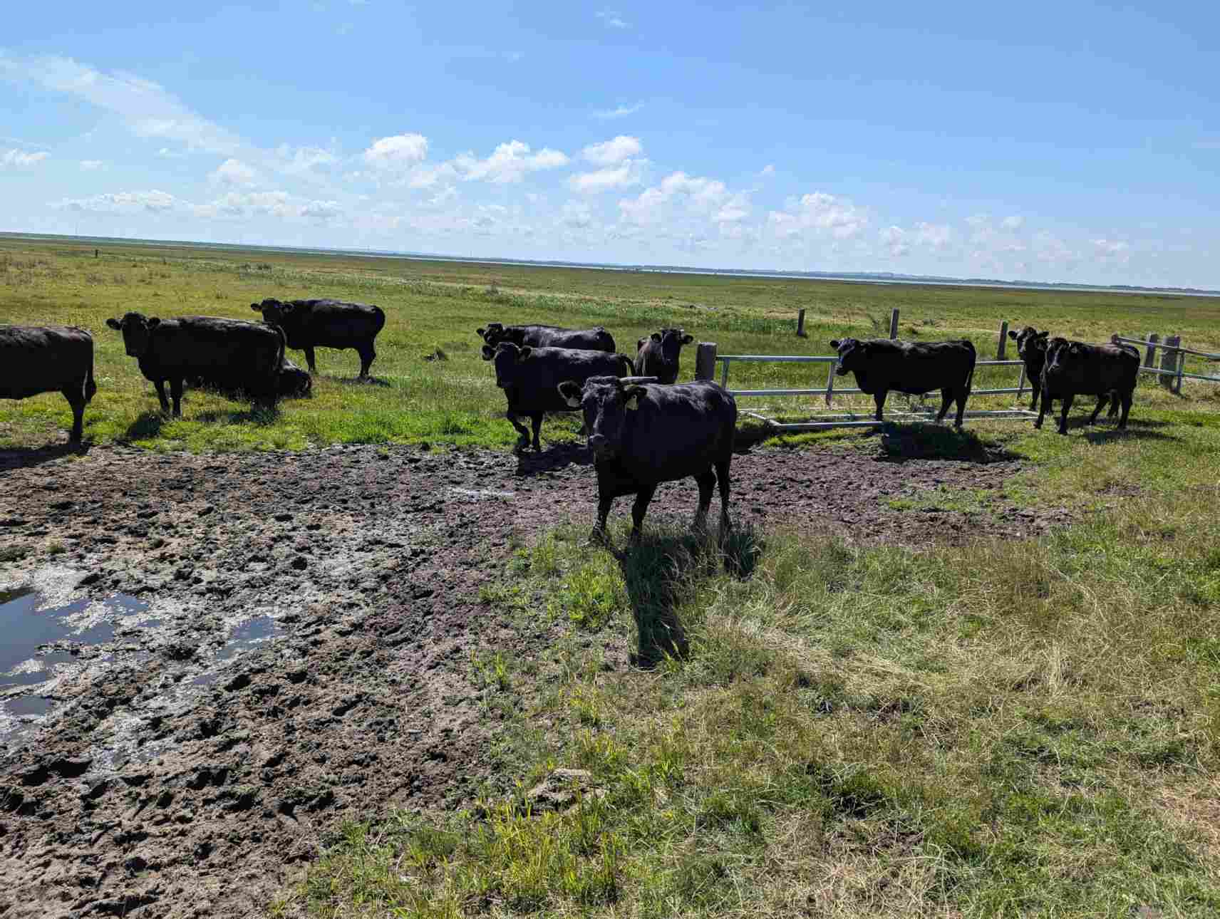 ResizedImage_2024-06-23_14-20-45_19 ResizedImage_2024-06-23_14-20-45_19