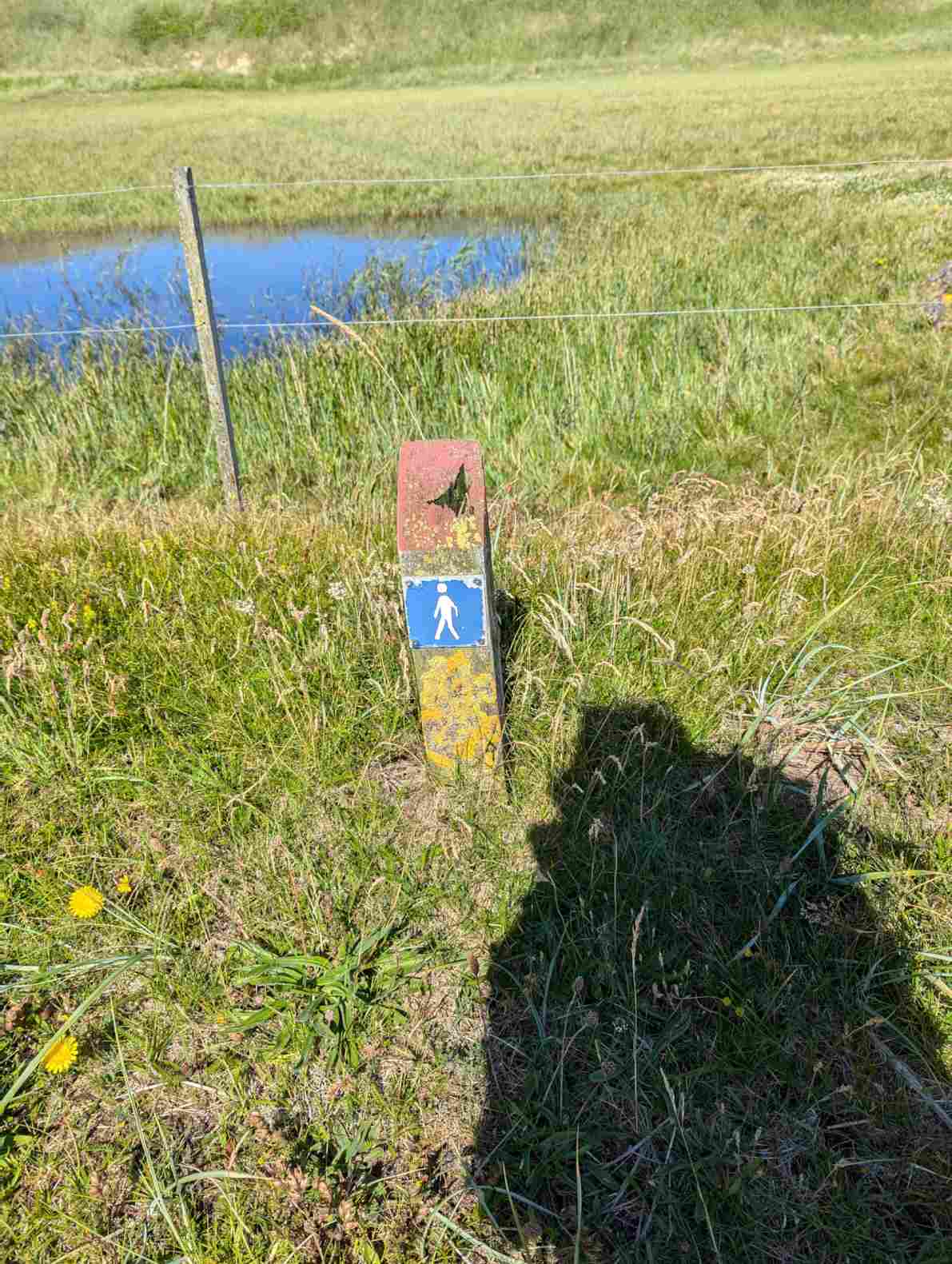 ResizedImage_2024-06-23_14-21-56_21 ResizedImage_2024-06-23_14-21-56_21