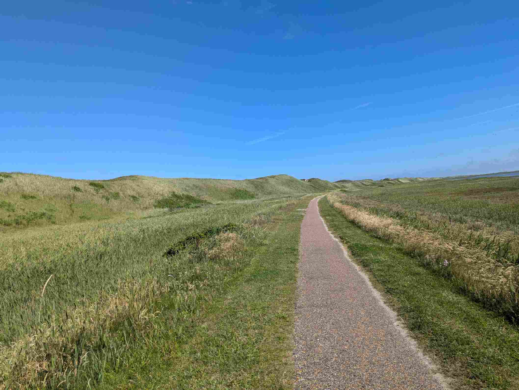 ResizedImage_2024-06-23_14-34-39_27 ResizedImage_2024-06-23_14-34-39_27