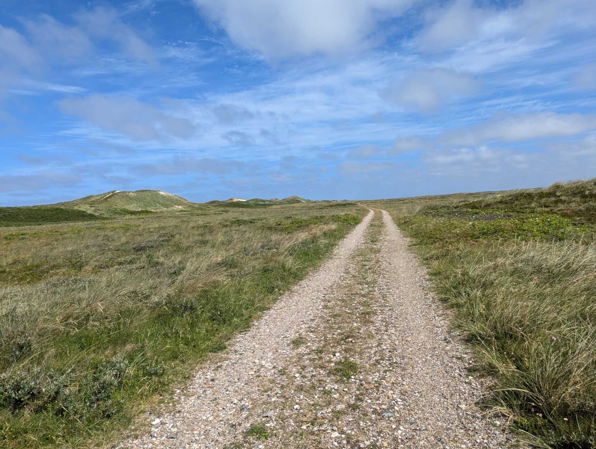 ResizedImage_2024-06-24_12-52-38_4 ResizedImage_2024-06-24_12-52-38_4