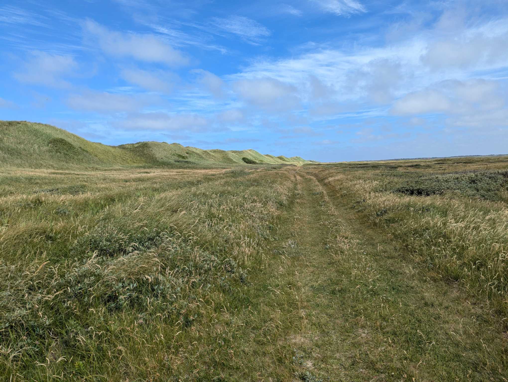 ResizedImage_2024-06-24_12-52-39_5 ResizedImage_2024-06-24_12-52-39_5