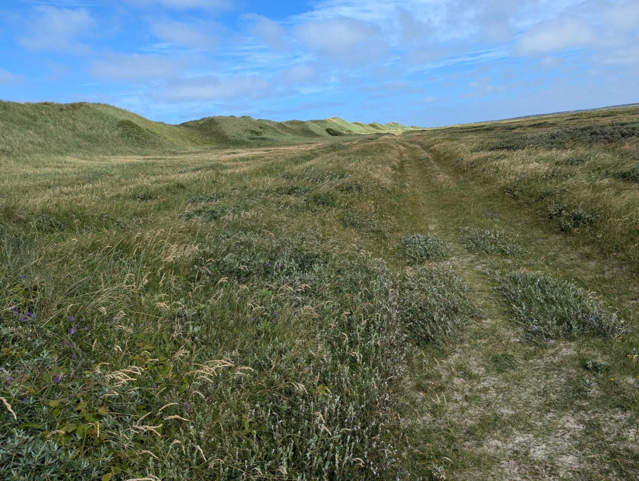 ResizedImage_2024-06-24_12-52-43_9 ResizedImage_2024-06-24_12-52-43_9