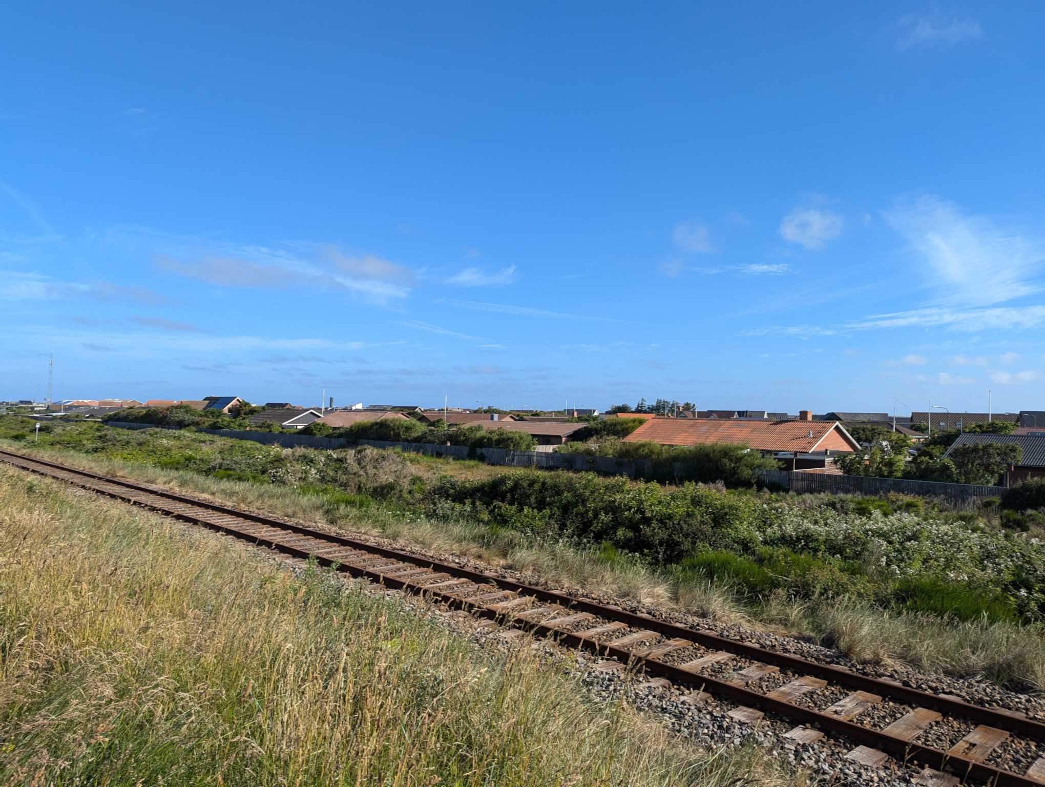 ResizedImage_2024-06-24_12-52-44_11 ResizedImage_2024-06-24_12-52-44_11