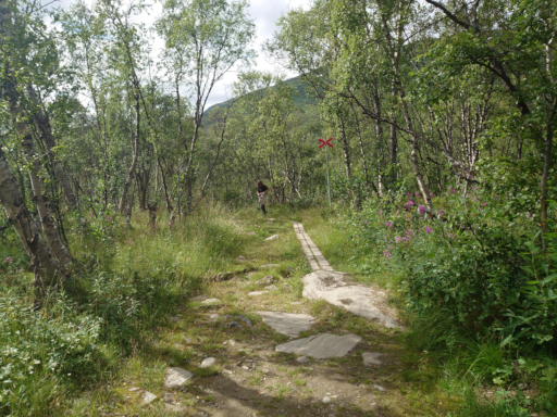 abisko_2
