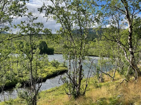 abisko_3