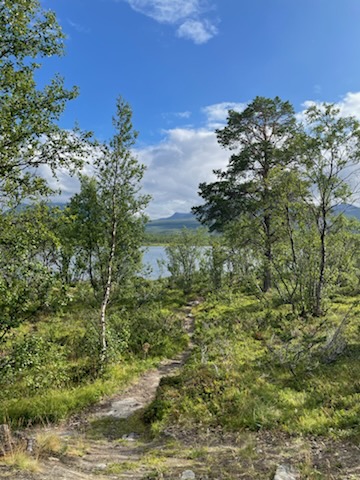 abisko_4