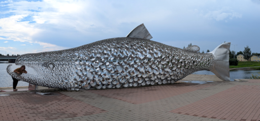fisk_1