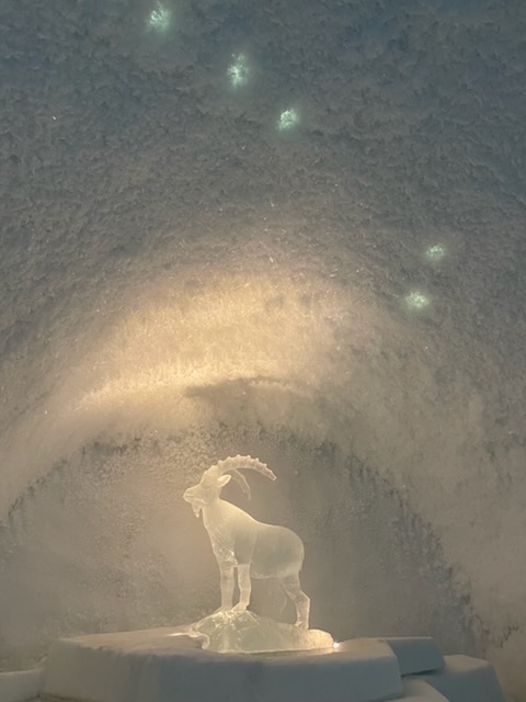 ice11