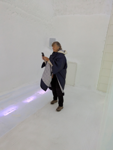 ice6