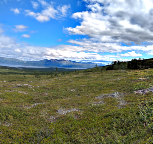lysskyeridetfjerne