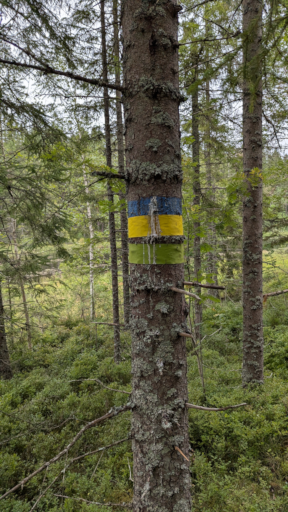 ruteafmaerkning